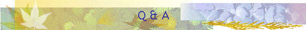 Q & A